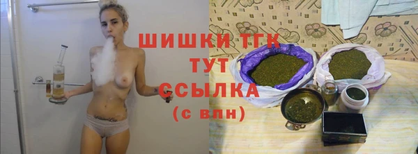 ешки Богданович