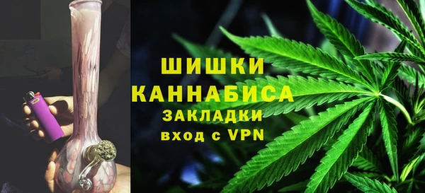 твердый Богородск