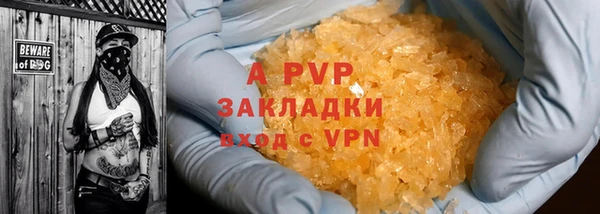 ешки Богданович