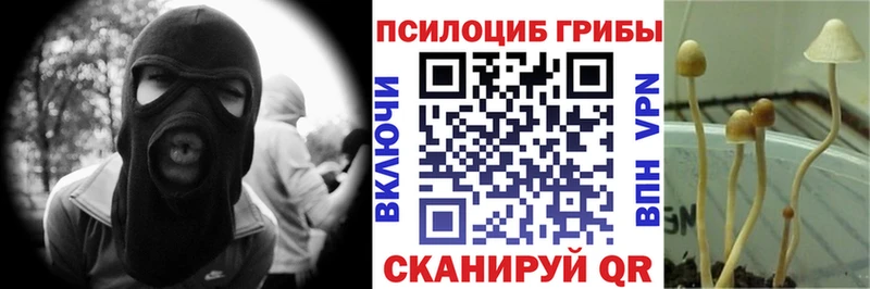 сколько стоит  Динская  Псилоцибиновые грибы GOLDEN TEACHER 
